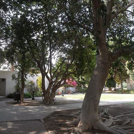 Almog Kibbutz Hotel Zewnętrze zdjęcie