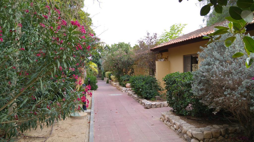 Almog Kibbutz Hotel Zewnętrze zdjęcie