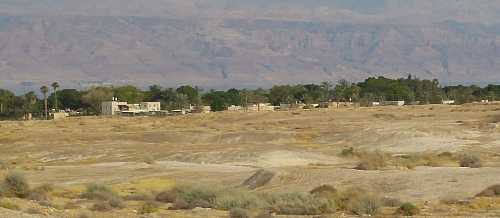 Almog Kibbutz Hotel Zewnętrze zdjęcie