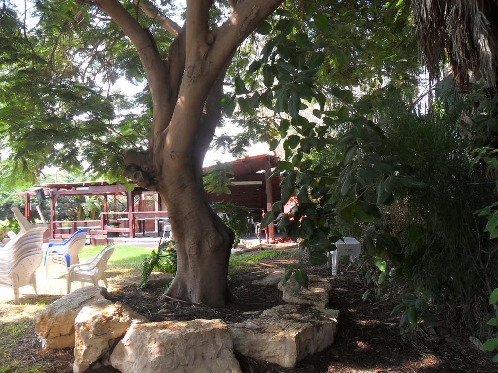 Almog Kibbutz Hotel Zewnętrze zdjęcie